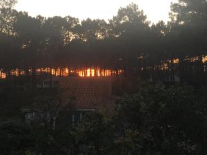 an image of the sun setting behind the trees at Chalet orange naturiste la Jenny in Le Porge