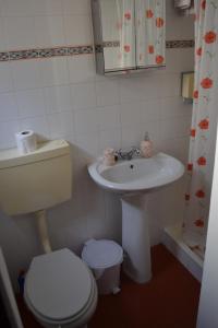 y baño con aseo y lavamanos. en Casal São João Cottages, en Fajã da Ovelha