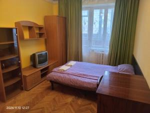 TV a/nebo společenská místnost v ubytování Alaska