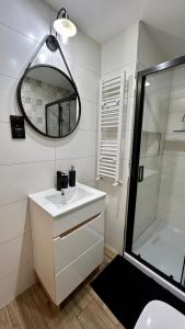 Kúpeľňa v ubytovaní Apartamenty GOSZOWIANKA
