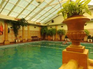 a swimming pool with a vase with a plant in it at Los Girasoles team family in El Bolsón