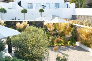 A garden outside SN Santorini Apartments