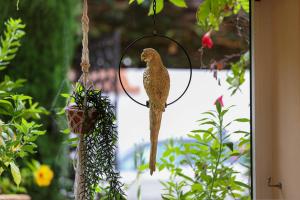 a bird is perched on a hanging bird feeder at Hôtel La Villa Sainte Valérie Adults Only in Juan-les-Pins