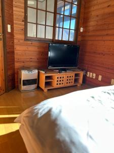 TV a/nebo společenská místnost v ubytování heyza