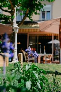 Um jardim em Hotel International & Terminus