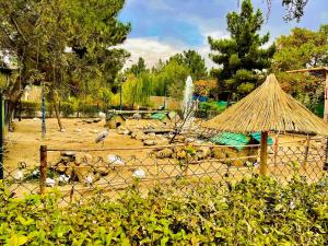 Fotografie z fotogalerie ubytování Kefayat Hotel v destinaci Balkh