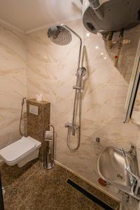 a bathroom with a shower and a toilet and a sink at The Grand Royal 3BDR Heart of Old Town in Prague +17 photos