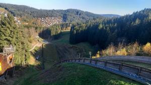 a bridge over a hill with a train on it at Ferienwohnung Eule in Schönwald