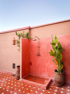 a shower in a wall with a plant next to it at Riad M Azbetz in Marrakech +59 photos