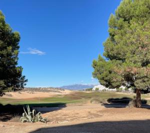a golf course with two trees and a green at Casa Diana Golf in Murcia