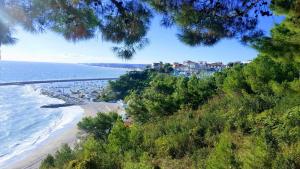 Príroda v okolí apartmánu