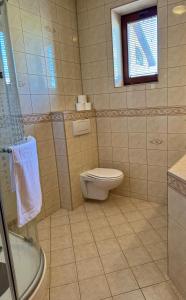 a bathroom with a toilet and a glass shower at Villa Menhardi in Nová Lesná