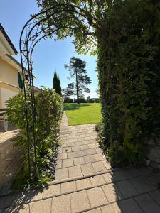 Zahrada ubytování Hotel Zum Fliegerwirt