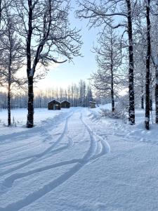 Bjarmaland Cottages v zimě