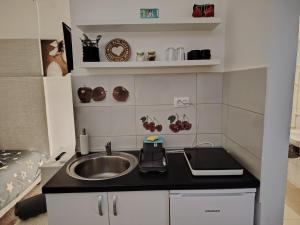 una piccola cucina con un lavello e un bancone di Cozy Max Studio a Jagodina