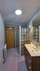 a bathroom with a sink and a shower and a mirror at Casa de la tía Irene in Briñas +12 photos