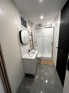 a small bathroom with a sink and a shower at le privilège - 400m de la gare in Saint-Brieuc