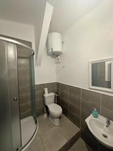 Un baño con inodoro, ducha y lavabo. en Residence Ultracentral Brasov, en Brasov