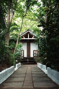 Nasya Beachside Cottages外面的花园