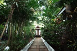 Nasya Beachside Cottages外面的花园