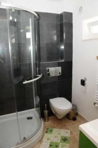 ein Badezimmer mit Dusche, Toilette und Waschbecken in der Unterkunft Vila Cube in Eforie Nord + 21 Fotos