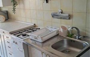 Η κουζίνα ή μικρή κουζίνα στο Beautiful Apartment In Pag