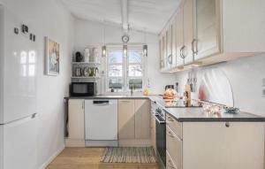 Η κουζίνα ή μικρή κουζίνα στο Nice Home In Karrebæksminde