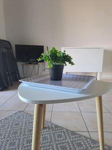 une plante en pot assise sur une table dans l'établissement Appartement avec piscine à 2 pas de la plage, à Linguizzetta