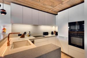 Kuchyň nebo kuchyňský kout v ubytování Antarès STELLA 101 - Spacious ski inski out apartment + 15 fotografií