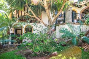 Imagen de la galería de Casa Galeana- Tropical 1-BD 1-WC Mountain Top Luxury Suite with Stunning Views, en Ajijic