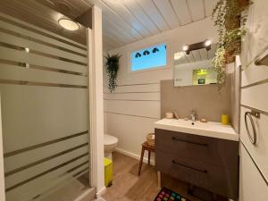 une salle de bain avec douche, lavabo et toilettes dans l'établissement Studio 2 personnes Proche Centre-Ville, à Besançon 7 autres photos