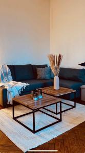 a living room with a blue couch and a coffee table at Le Nid de Forges in Forges-les-Eaux +10 photos