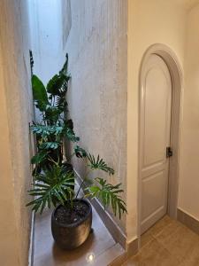 Fotografie z fotogalerie ubytování Casa Bugó Arsenal v destinaci Cartagena