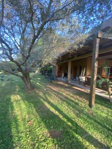 una casa con un albero nel cortile di Linda casa a metros del río Paraná con pileta a Ituzaingó