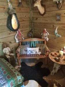 Billede fra billedgalleriet på Sky acres aka the tin cottage i Chiefland