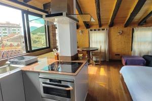 a kitchen with a sink and a stove top oven at TAO casa WOOD apartamentos in Olot