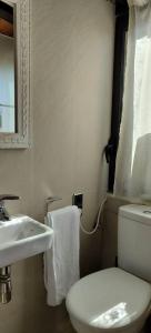 a bathroom with a white toilet and a sink at TAO casa WOOD apartamentos in Olot