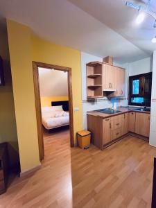 a room with a kitchen and a bedroom with a bed at Apartamento Espata VII in Villanúa