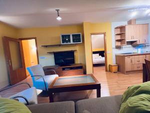 a living room with a couch and a tv at Apartamento Espata VII in Villanúa