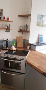 cocina con fogones y encimera de madera en Studio lumineux au charme parisien, en Vincennes
