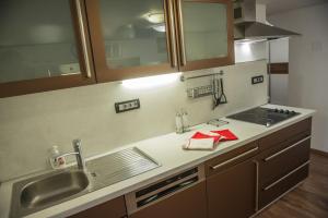 Kuchyň nebo kuchyňský kout v ubytování Apartment Arpa + 37 fotografií