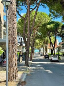 Η γειτονιά γύρω από ή μία γειτονιά κοντά σε αυτό το διαμέρισμα +9 φωτογραφίες