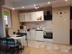 Η κουζίνα ή μικρή κουζίνα στο Przytulny Apartament w Śródmieściu