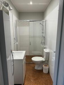 a bathroom with a toilet and a shower and a sink at Dawna Mleczarnia Apartamenty MIODOWY in Nowa Ruda +11 photos