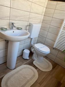a bathroom with a toilet and a sink at Edelweiss Cozy Lodge in Braşov