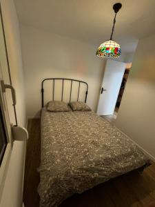 a bedroom with a bed and a chandelier at Le Sarsour Appartement Strasbourg Centre in Strasbourg