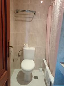 a bathroom with a toilet and a shower at CHOCOLATE y MENTA REDONDELA in Redondela +39 photos