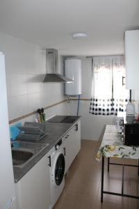 a kitchen with a sink and a washing machine at La Cañada in Candeleda