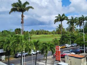 une vue d'un parking avec des palmiers dans l'établissement Ti gecko, à Saint-François