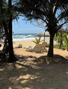 a beach with two chairs and a palm tree at Beach Bungalow Yala in Kirinda +72 photos